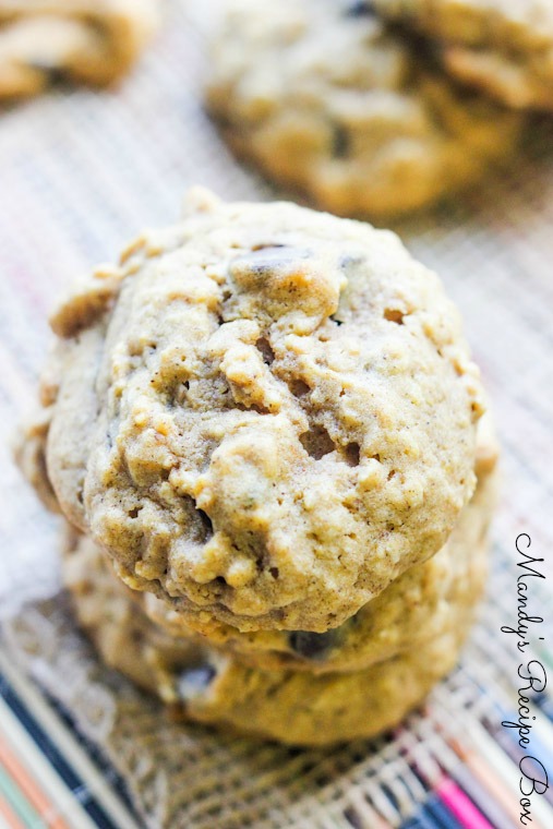 Oatmeal Chocolate Chip Pumpkin Cookies {Mandy's Recipe Box}