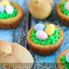 Sugar Cookie Nests