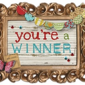 Fiber One Cereal Giveaway Winner!