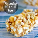 Marshmallow Peanut Bars