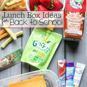 Lunch Box Ideas for Back to School