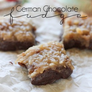 German Chocolate Fudge and BlendTec Giveaway!