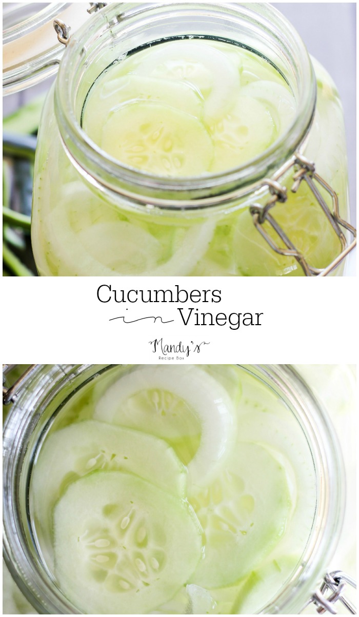 Cucumbers in Vinegar.