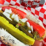 Chicago Style Hot Dog