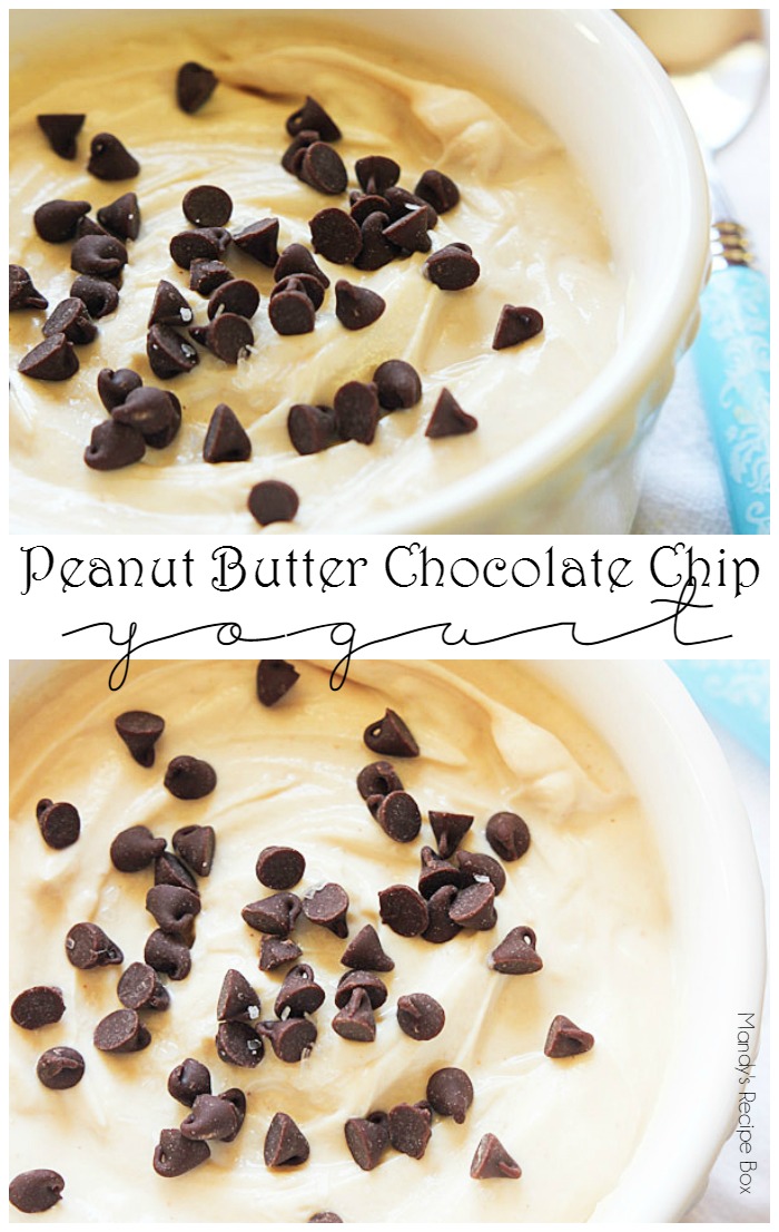 Peanut Butter Chocolate Chip Yogurt