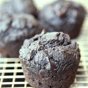 Whole Wheat Double Chocolate Chip Pumpkin Muffins